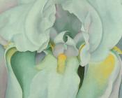 Light Iris - 乔治亚·奥基夫